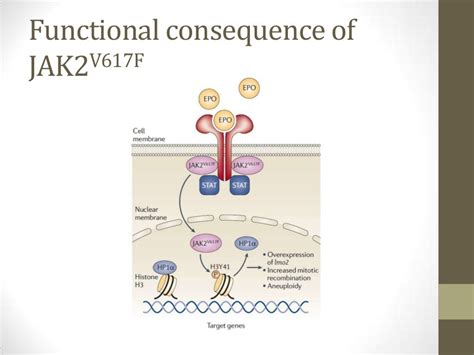 Janus kinase inhibitors