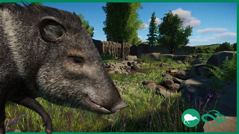 🐗 Collared Peccary habitat | willow creek city zoo | Ep. 8 | speed build | planet zoo - YouTube