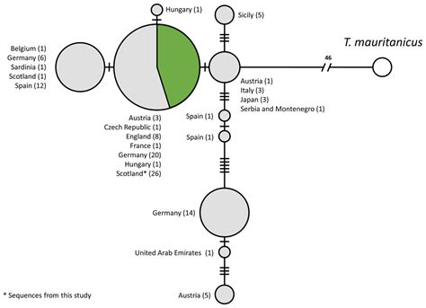 A new molecular diagnostic tool for surveying and monitoring Triops cancriformis populations [PeerJ]