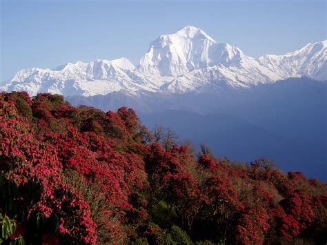 Nepal, Himalayas, Mountains HD Wallpapers / Desktop and Mobile Images ...