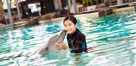 Dolphin Island Program Singapore