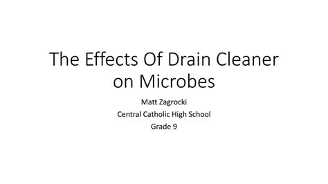 The Effects Of Drain Cleaner on Microbes - ppt download