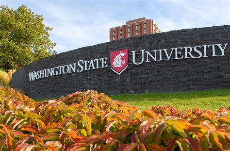 Fall 2025 Start Date Wsu - Alan Davidson