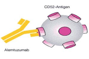 Alemtuzumab Archives - MStranslate