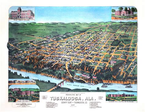 Historic Tuscaloosa | Newsletter | Historic Findings