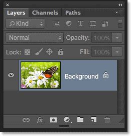 Photoshop Layers Panel Essentials
