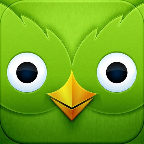 Duolingo | iOS Icon Gallery