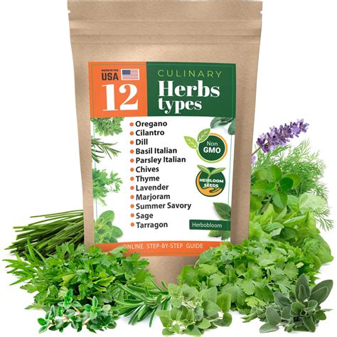 Herb Garden Seeds Collection – 12 Culinary Herb Seeds Pack – Non-GMO Heirloom Seeds for Planting ...