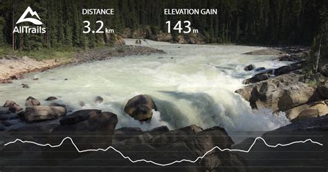 Explore Sunwapta Falls | AllTrails