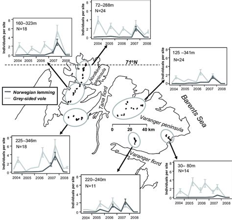 Population trajectories of Norwegian lemmings (L. lemmus) and... | Download Scientific Diagram