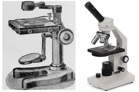 Differences between Simple and Compound Microscope