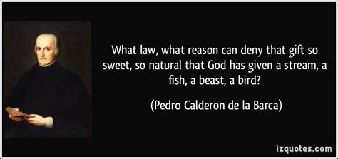 Pedro Calderon de la Barca Quotes. QuotesGram