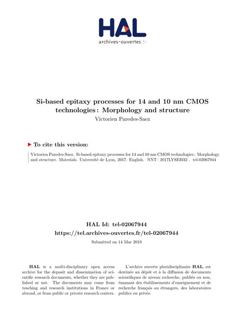 (PDF) Si-based epitaxy processes for 14 and 10 nm CMOS technologies : Morphology and structure