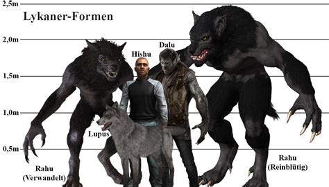 Lycan/Werewolf Forms with bitten (l.) and pure blooded born (r.) Warform. Werewolf Drawing ...