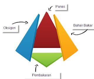 Apa Yang Menyebabkan Kebakaran Hutan? - Servisan Hape