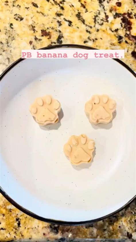 Pin on Dog Recipes