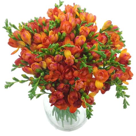 numaonline. Red Meadows Freesia Bouquet