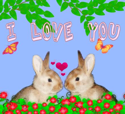 Cute I Love You Gifs With Hearts and Animals | I love you animation ...