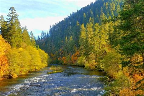 10 Best Locations for Fly Fishing in Oregon - Where to Fish OR