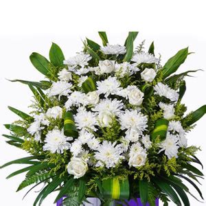 Malaysian Mums Funeral StandMalaysian Mums Funeral Stand - Raphaels Gifts