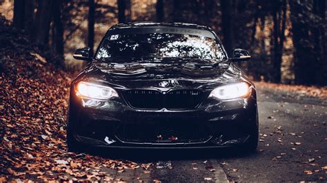 Autumn Leaves, BMW, Black Car, Front View