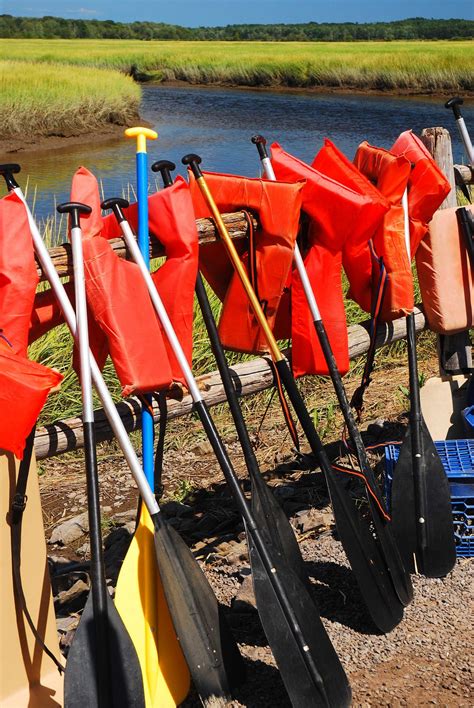 Considerations for selecting a canoe paddle | ActionHub