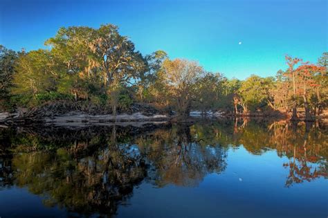 Yes, There’s Fall Foliage in Florida—And Here's Where to Find It