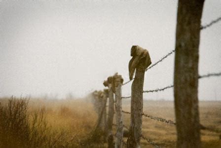 Different Types of Wire Fencing | North Bay | San Joaquin