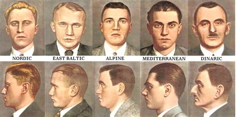 East Baltic Classification + Forehead Shape - AnthroScape