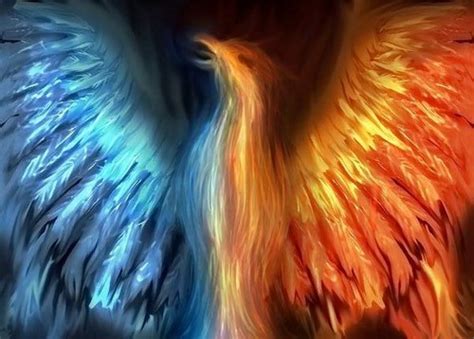 Mythology images Phoenix wallpaper and background photos (30557210)