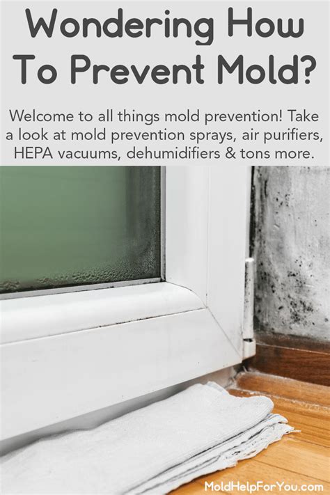 Mold Prevention | Mold Help For You