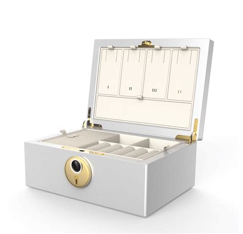 Biometrics Fingerprint Jewelry Safe Box & Organizer | Midas Touch