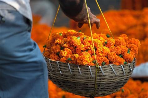 Marigolds India | Incredible india, India, Flower market