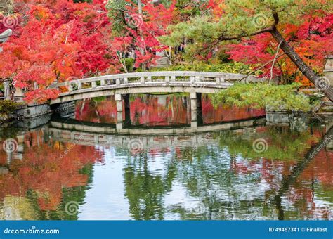 Autumn Foliage at the Stone Bridge, Kyoto, Japan Stock Image - Image of asia, leaf: 49467341