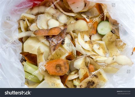 Food Waste Inside Plastic Bag Stock Photo 656033266 | Shutterstock