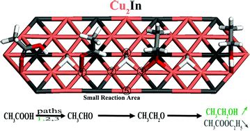 Insights into the mechanism of ethanol synthesis and ethyl acetate inhibition from acetic acid ...