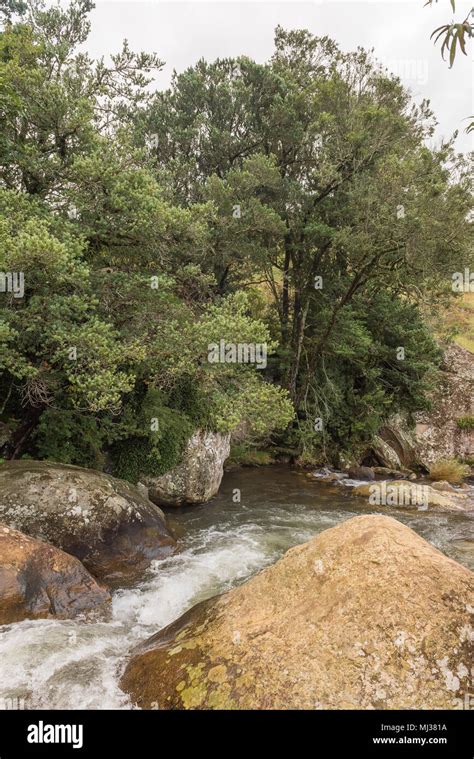 The Sterkspruit (strong stream) above the Sterkspruit waterfall near ...