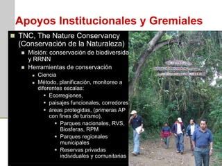 The natural conservancy | PPT