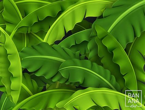 Premium Vector | Banana leaves