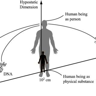 Fig. The dual position of humanity in the universe: a part of nature ...