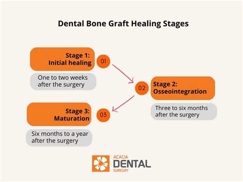 Dental Bone Graft: What You Need to Know — Acacia Dental