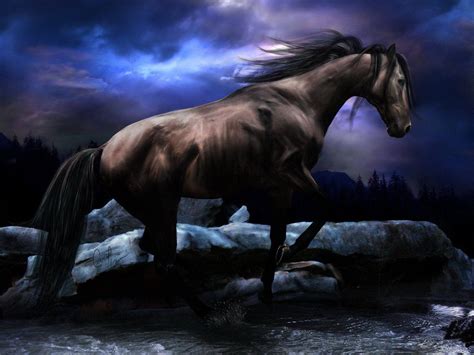 Free Horse Screensavers And Wallpapers - Wallpaper Cave