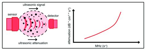 Ultrasonic attenuation. The sensor setup is shown on the left, with... | Download Scientific Diagram