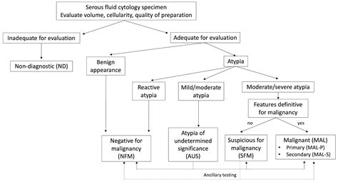 Pathology Outlines - International system for reporting serous fluid ...