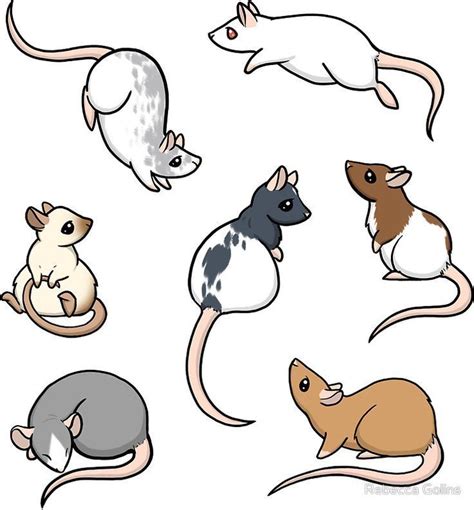 𝐝𝐫𝐚𝐰𝐢𝐧𝐠𝐬. | Cute rats, Cartoon rat, Cute drawings