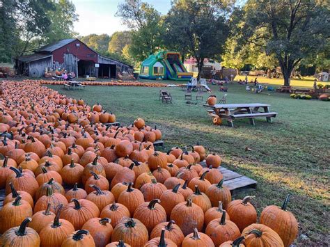 Pumpkin Patch Festival 2024 Calendar - Evvie Jillane