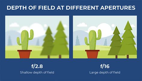 Aperture and F-Stop Explained for Beginners