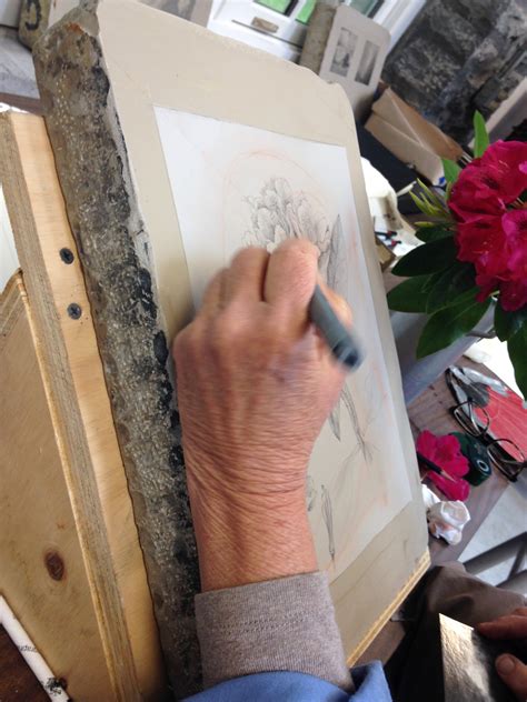 Drawing Botanical Illustration: Experiments in Lithography - Draw Botanical LLC