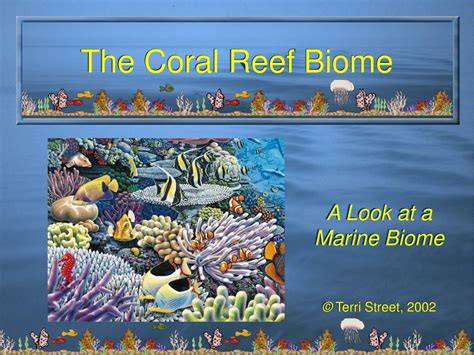 PPT - The Coral Reef Biome PowerPoint Presentation - ID:53453