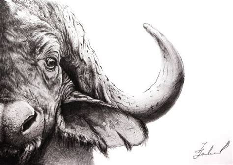 Buffalo - Original graphite pencil drawing. Wall decor. Handmade ...